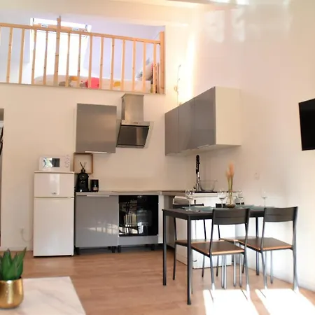 Grand Studio-mezzanine-centre Cannes