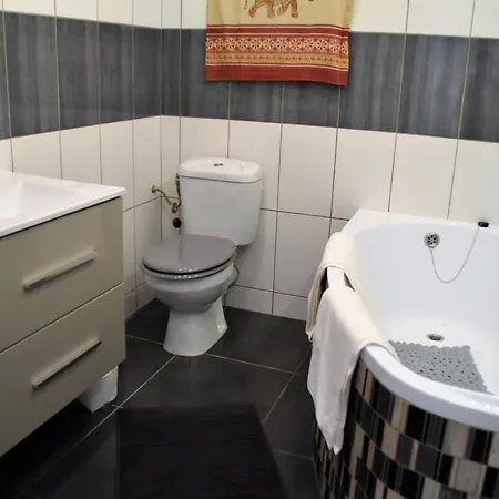 Apartamento Grand Studio-mezzanine-centre *