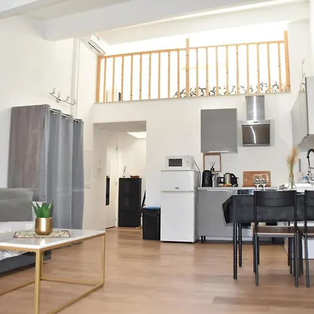 Grand Studio-mezzanine-centre カンヌ