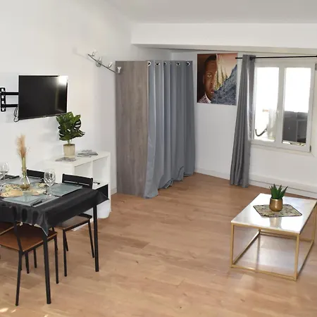 Grand Studio-mezzanine-centre * Cannes